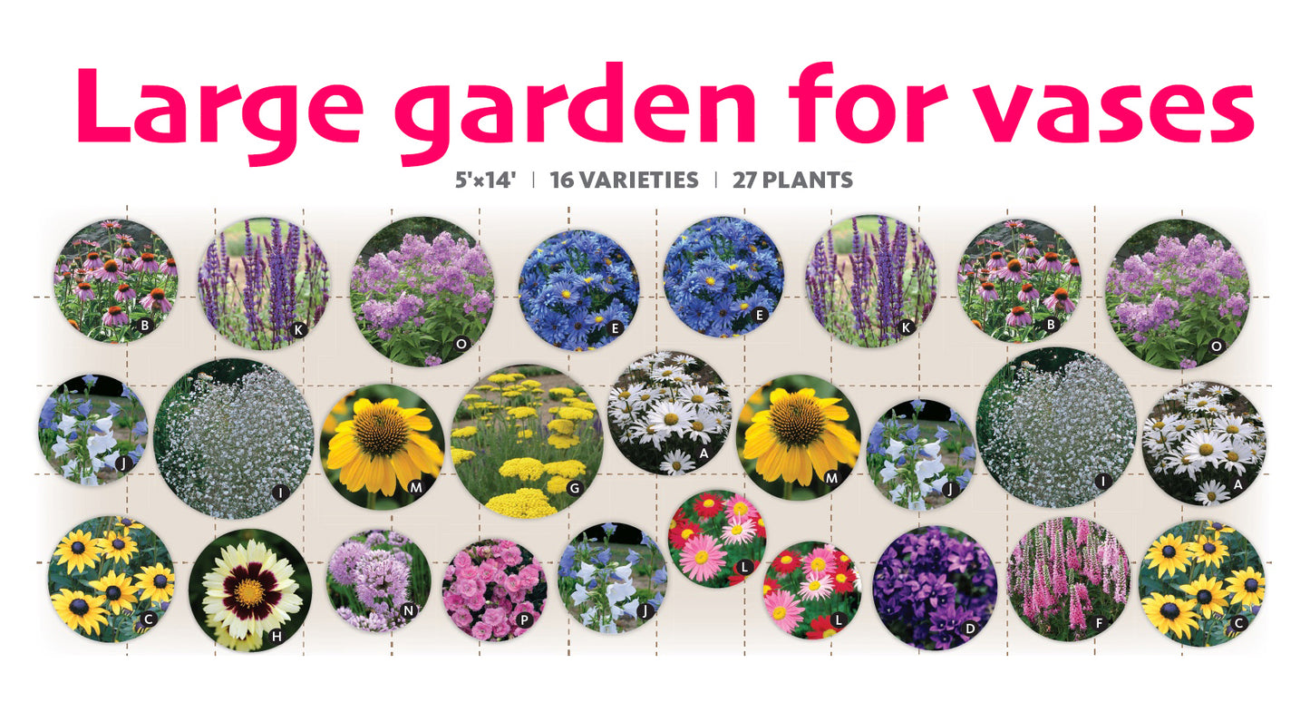 PPG-Large garden for vases – $324/27 plants