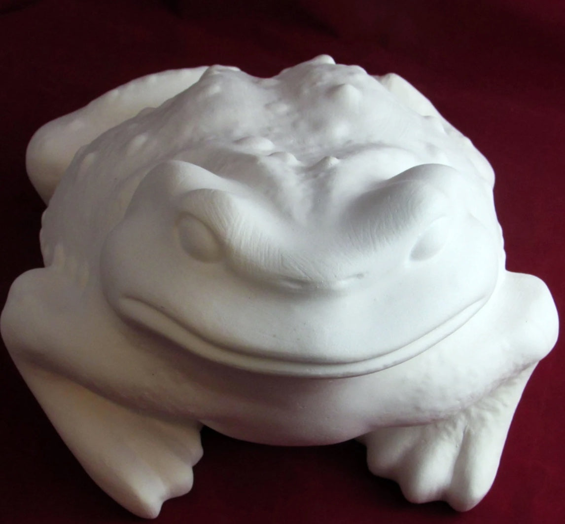 2-Week Pottery Class