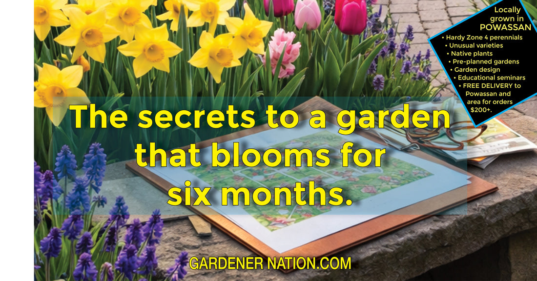 The secrets to a garden that blooms for six months