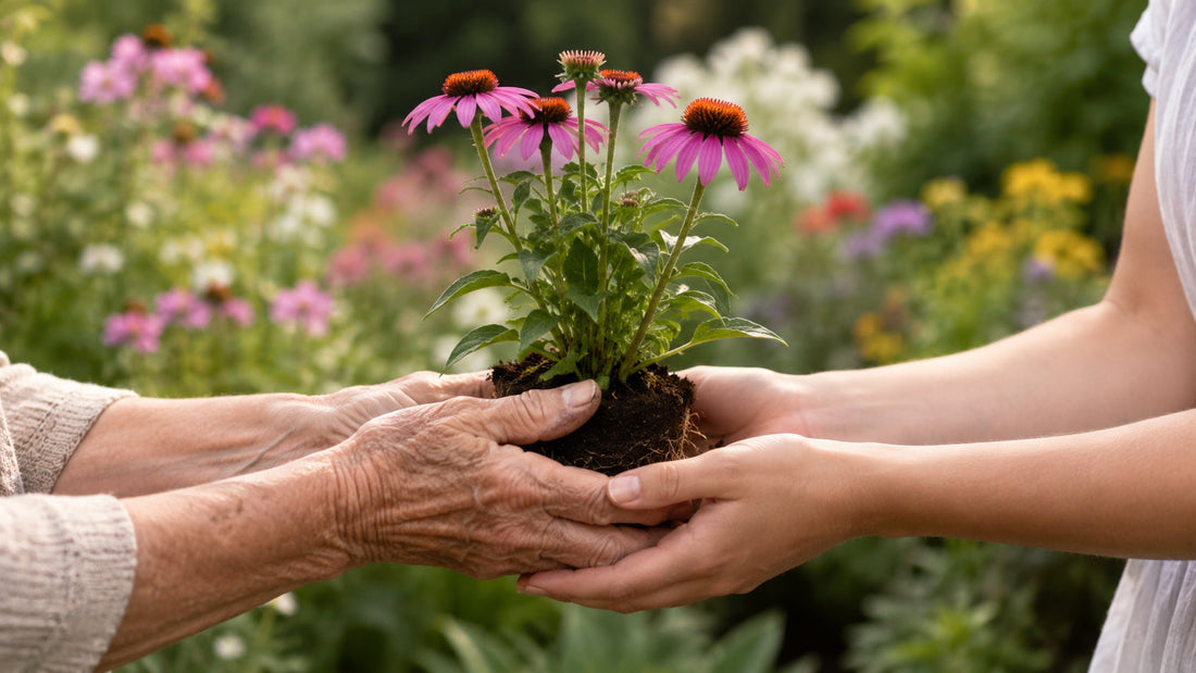 Mother's Day...give her flowers that last