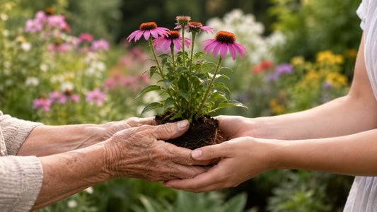 Mother's Day...give her flowers that last