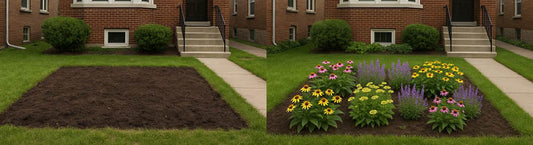 Smother that lawn – August is the best time to start a no-dig garden in Zone 4
