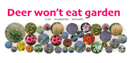 Deer won’t eat garden – $434/36 plants