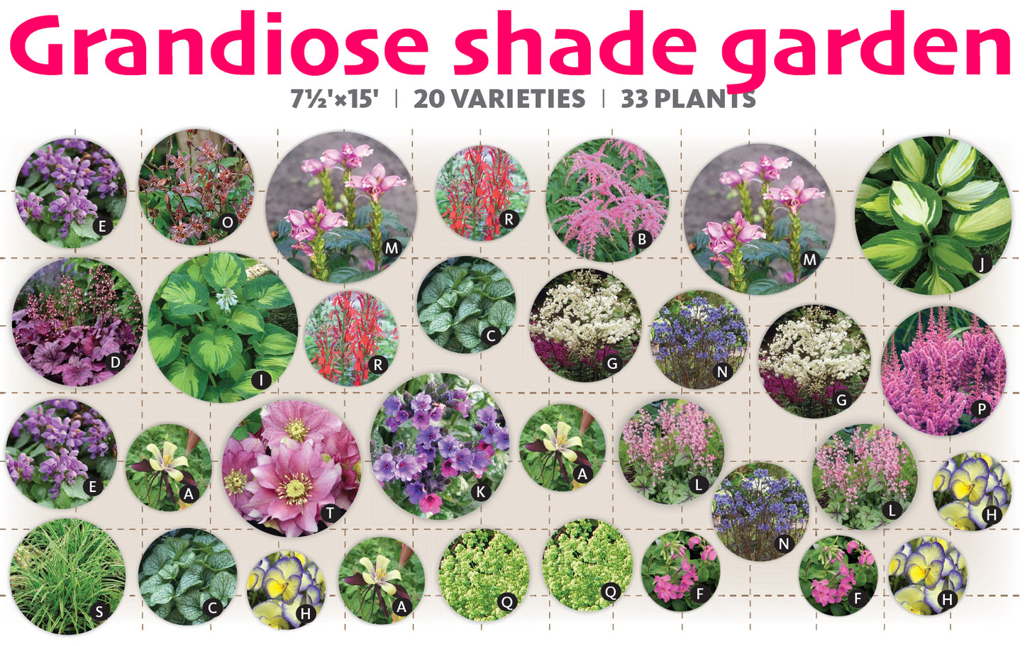 Grandiose shade garden – $396/33 plants